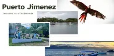 puerto jimenez 1400x800 featured image