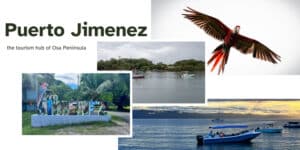 puerto jimenez featured image