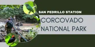 san pedrillo station corcovado national park