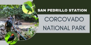 San pedrillo station corcovado national park featured image
