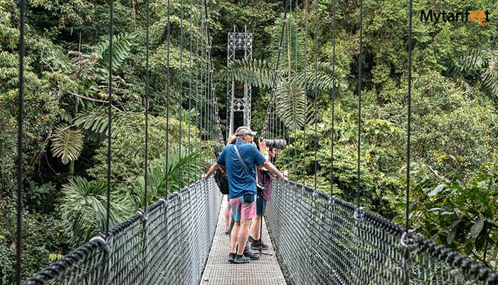 arenal hanging bridges tour