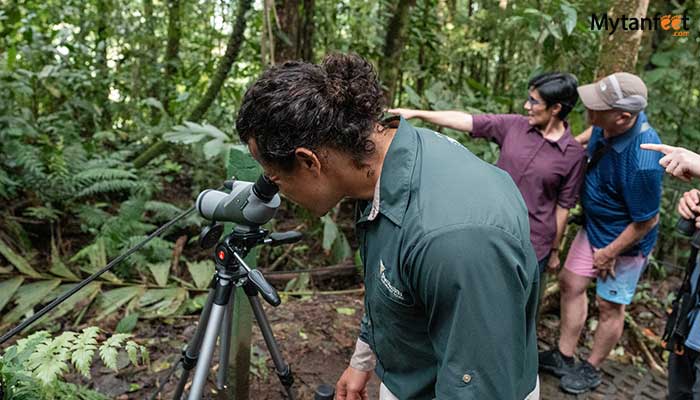 arenal hanging bridges tour
