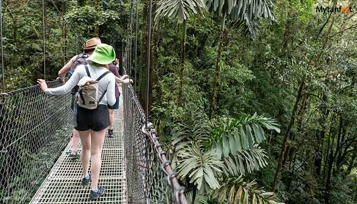 arenal hanging bridges tour