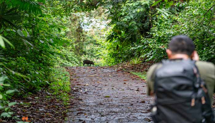 arenal-lake-peninsula-booking-form-photo-2 arenal lake by boat and peninsula trail