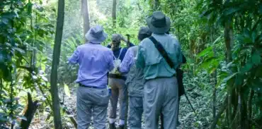 carara national park tour from manuel antonio booking page featured image