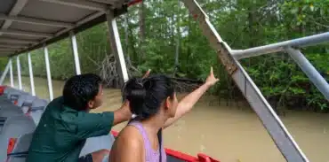 damas island mangrove boat tour booking page featured image