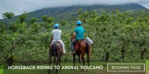 horseback riding to arenal volcano