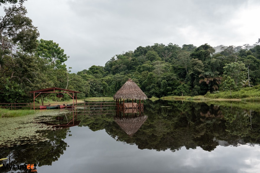 Maquenque Eco Lodge 