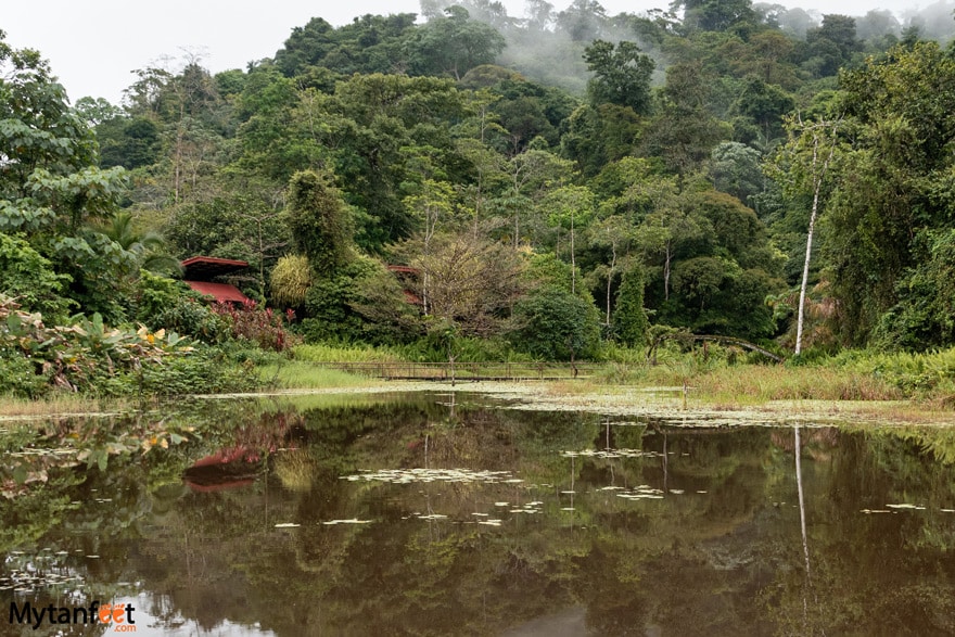 Maquenque Eco Lodge - bungalow
