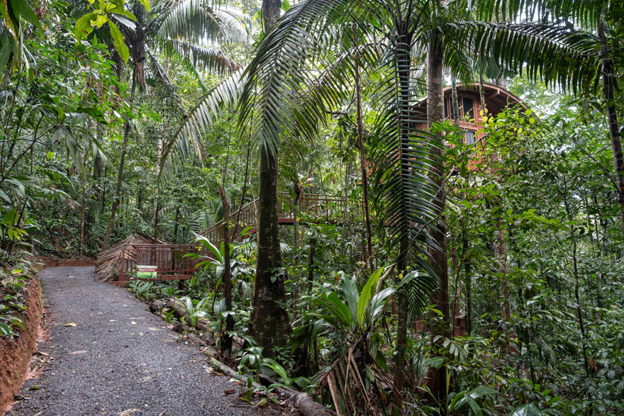 Maquenque eco lodge - deluxe treehouse 
