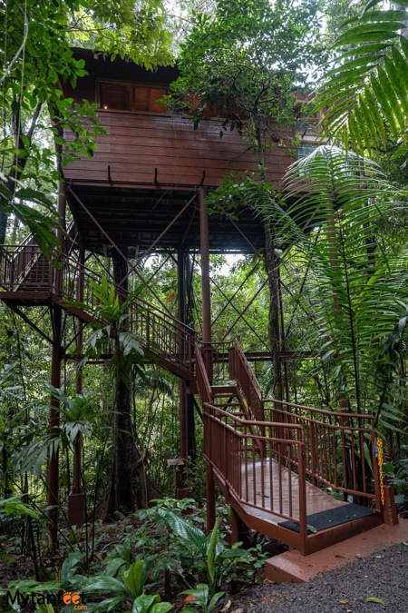 Maquenque eco lodge deluxe treehouse 