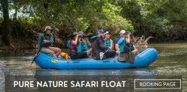 pure nature safari float booking page featured image