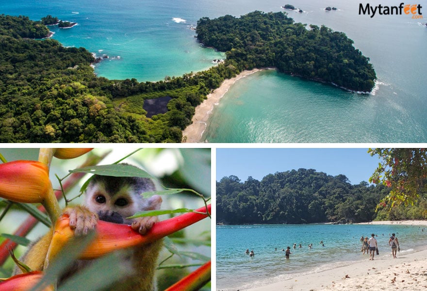 2 week Costa Rica birding and wildlife itinerary Manuel Antonio National Park