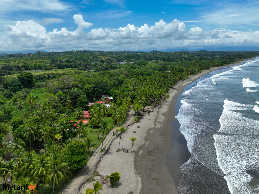 2 week Costa Rica birding and wildlife itinerary Playa Bejuco