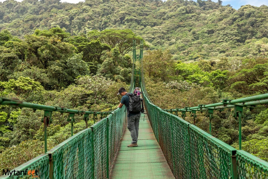 2 week Costa Rica birding and wildlife itinerary Selvatura park hanging bridges