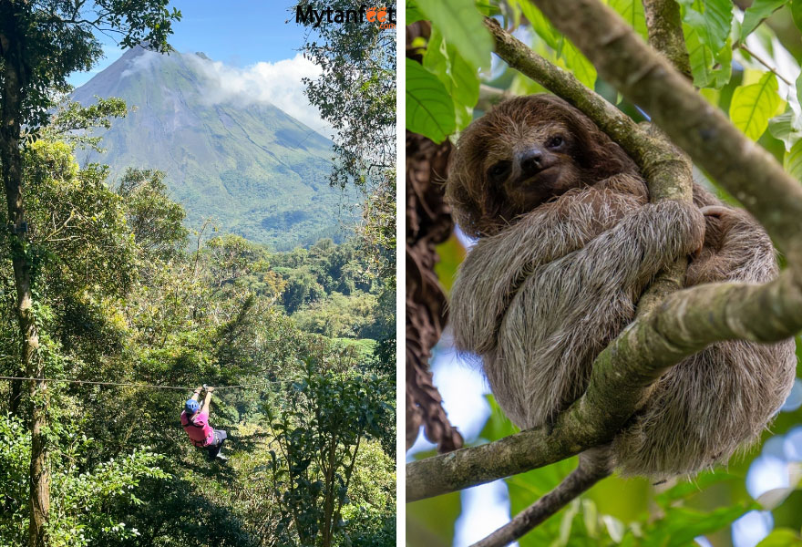 2 week Costa Rica birding and wildlife itinerary