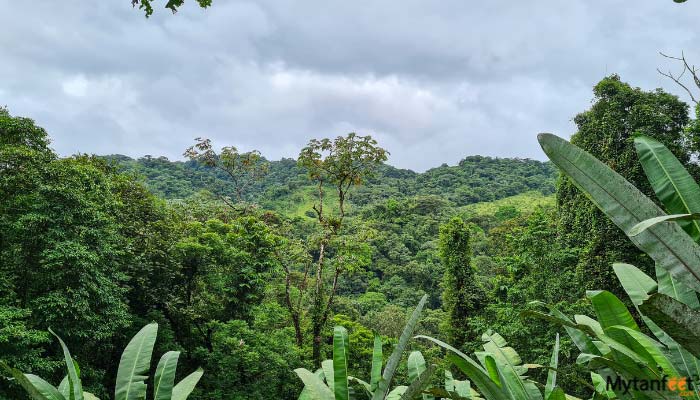 Arenal-Canopy-Adv.-with-Horseback-and-Tarzan-Swing-gallery-image-2 Arenal Canopy Adv. with Horseback and Tarzan Swing