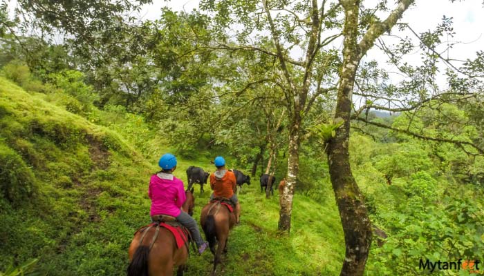 Arenal-Canopy-Adv.-with-Horseback-and-Tarzan-Swing-gallery-image--4 Arenal Canopy Adv. with Horseback and Tarzan Swing