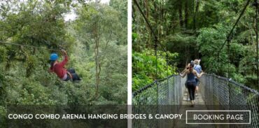 CONGO combo arenal hanging bridges canopy featured image booking page