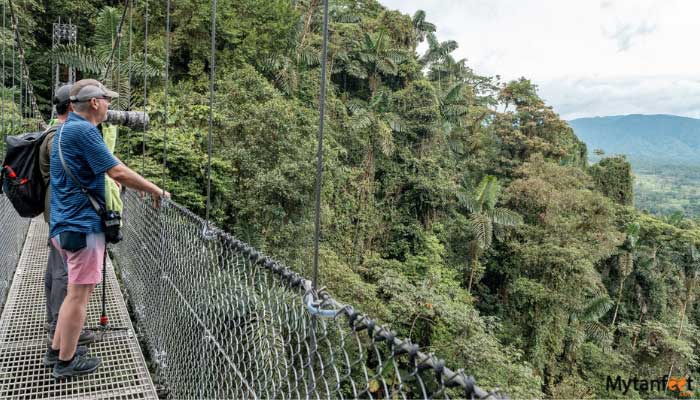 FOREST AND ROCKS arenal hanging bridges and volcano hike