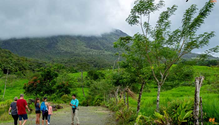 FOREST AND ROCKS arenal hanging bridges and volcano hike