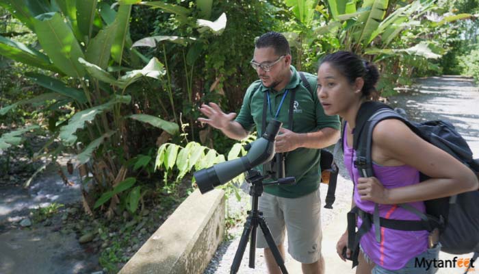 Manuel-Antonio-National-Park-tour-5 Manuel Antonio National Park tour