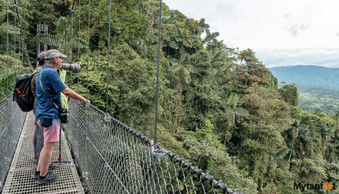 arenal 4 in 1 combo tour mistico hanging bridges