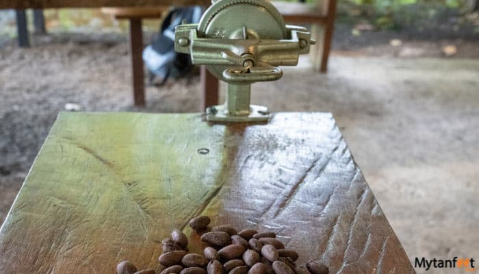 arenal chocolate tour