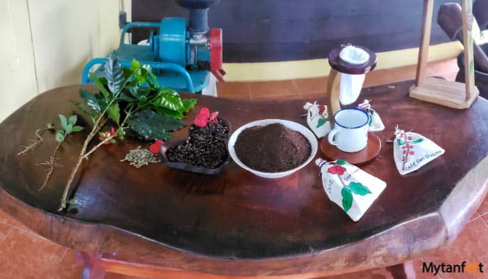arenal coffee tour