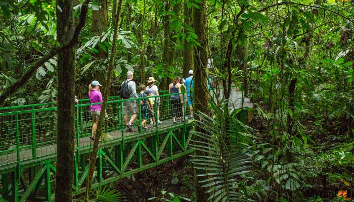 arenal-hanging-bridges-and-hot-springs-gallery-2 arenal hanging bridges and hot springs