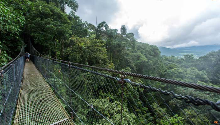 arenal-hanging-bridges-and-hot-springs-gallery-3 arenal hanging bridges and hot springs