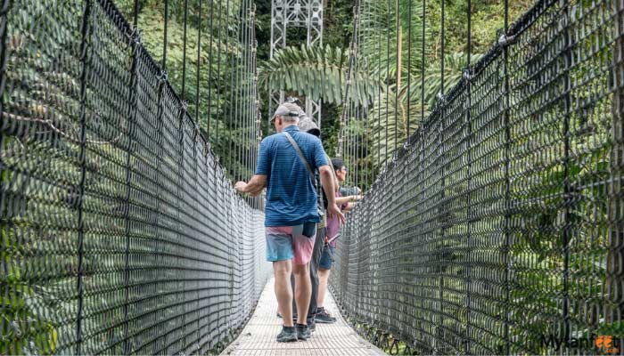 arenal-hanging-bridges-and-hot-springs-image-gallery arenal hanging bridges and hot springs