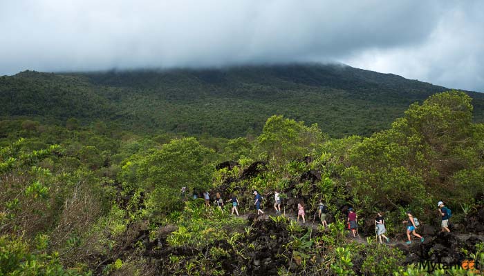 arenal-volcano-hike--4 arenal volcano hike