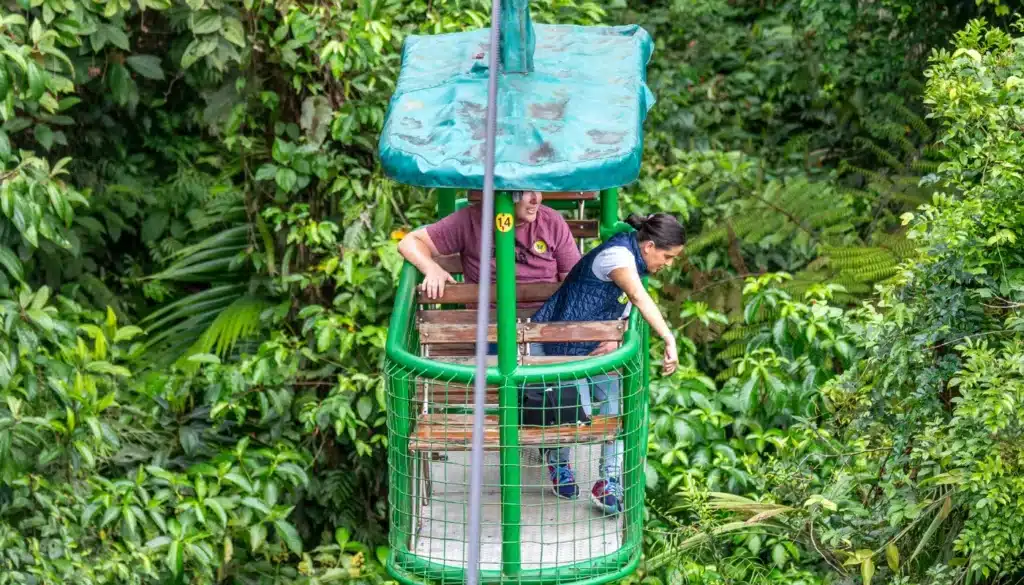 authentic rainforest experience tour booking page featured image