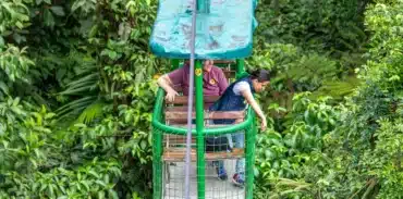 authentic rainforest experience tour booking page featured image