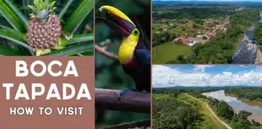 boca tapada costa rica