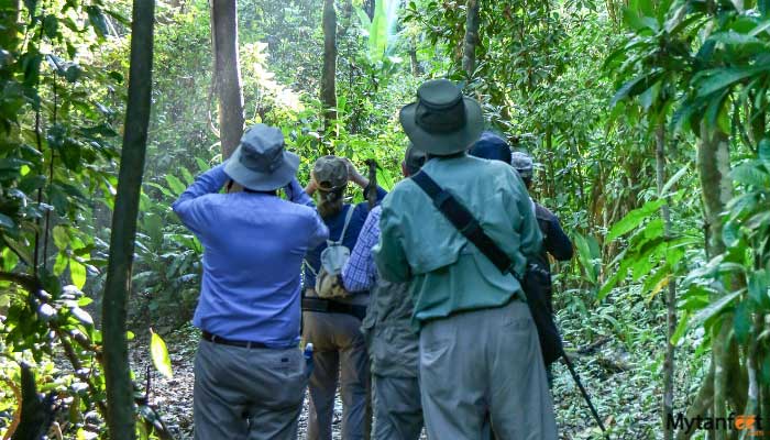 carara-national-park-tour-from-manuel-antonio-and-quepoe-3 carara national park tour from manuel antonio and quepos