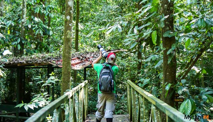 carara-national-park-tour-from-manuel-antonio-and-quepoe-6 carara national park tour from manuel antonio and quepos