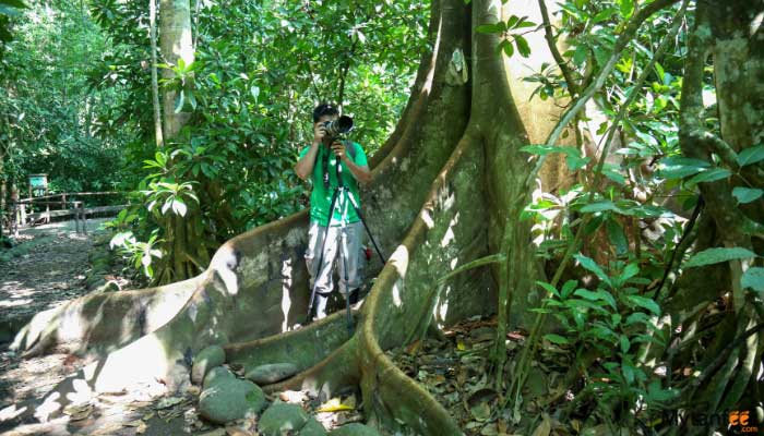 carara-national-park-tour-from-manuel-antonio-and-quepoe-image carara national park tour from manuel antonio and quepos