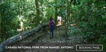 carara national park tour from manuel antonio featured image blog post