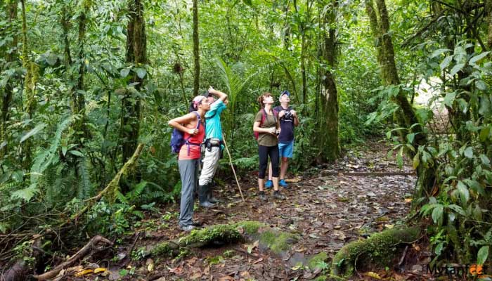 childrens eternal rainforest hike