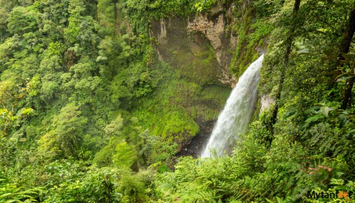 childrens eternal rainforest hike