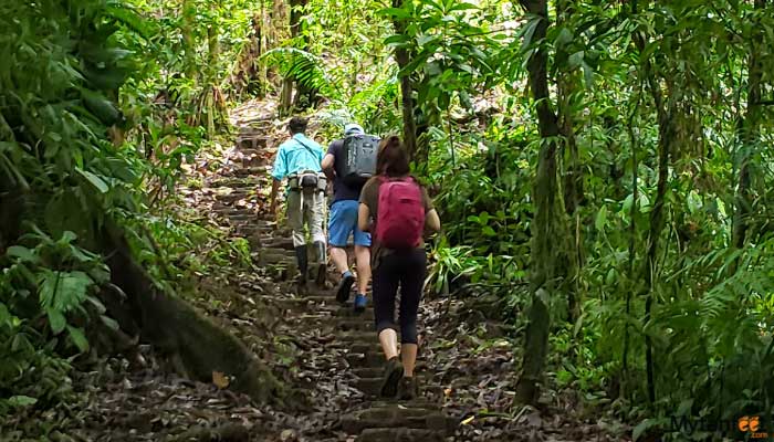 childrens eternal rainforest hike