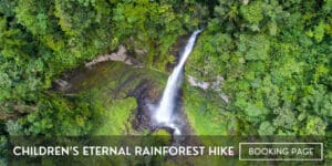 childrens eternal rainforest hike