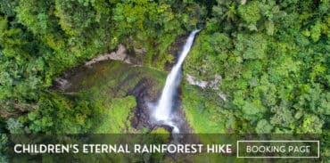 childrens eternal rainforest hike