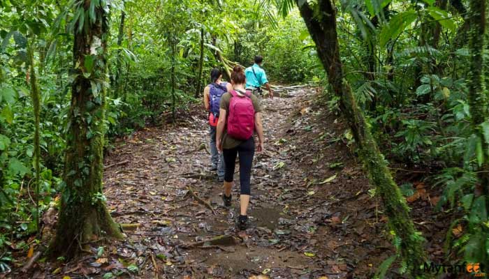 childrens eternal rainforest hike