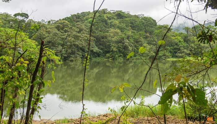childrens eternal rainforest hike