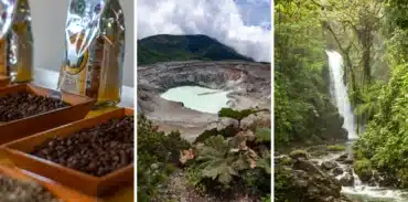 combo tour doka coffee poas volcano la paz waterfall gardens tour booking page featured image