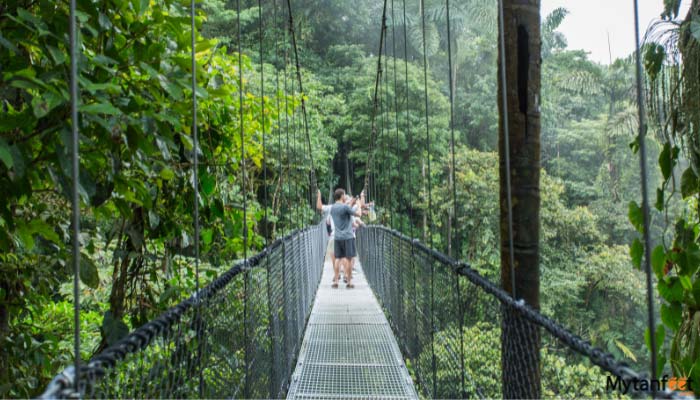 congo combo arenal hanging bridges and canopy