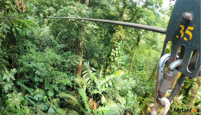 congo combo arenal hanging bridges and canopy